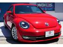 VOLKSWAGEN THE BEETLE