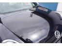 VOLKSWAGEN THE BEETLE