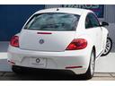 VOLKSWAGEN THE BEETLE