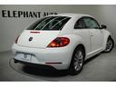 VOLKSWAGEN THE BEETLE