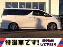 両側パワスラ パワーゲート モデリスタフルエアロ TEIN車高調 カロッツェリア10型ナビ アルパイン12型フリップダウンモニター バックカメラ ハーフレザー ETC LEDライト PCS 7人乗り