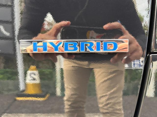 デリカミニ Ｔ　プレミアム　４ＷＤ・届出済未使用車・ターボ・両側パワースライド・マイパイロット・スマートキー・ＬＥＤ・フォグ・シートヒーター・デジタルルームミラー・衝突被害軽減ブレーキ・サーキュレーター・シートバックテーブル（67枚目）