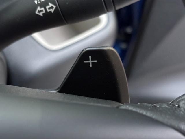 デリカミニ T プレミアム リミテッドエディション 届出済未使用車・ターボ・両側電動・4WD・マイパイロット・マルチアラウンドモニター・ハンドルヒーター・シートヒーター・ハイブリッド・スマートキー・LEDヘッド・サーキュレーター・シートバックテーブル(46枚目)