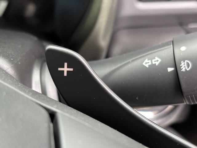 ハスラー タフワイルドターボ　４ＷＤ・ハイブリッド・ターボ・届出済未使用車・現行型・衝突被害軽減ブレーキ・パドルシフト・ＬＥＤヘッドライト・プッシュスタート・スマートキー・アダプティブクルコン・全車速追従・シートヒーター（43枚目）