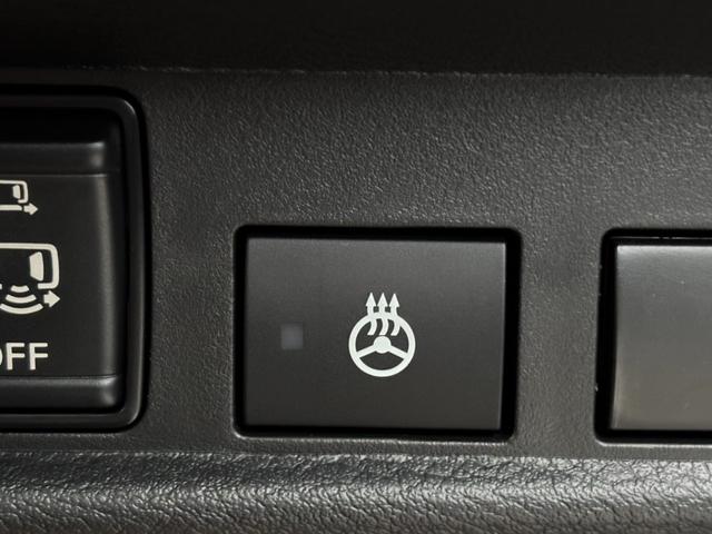 デリカミニ T プレミアム リミテッドエディション 4WD・届出済未使用車・ターボ・両側電動・マイパイロット・マルチアラウンドモニター・ハンドルヒーター・シートヒーター・ハイブリッド・キーフリー・LEDヘッド・サーキュレーター・シートバックテーブル(22枚目)