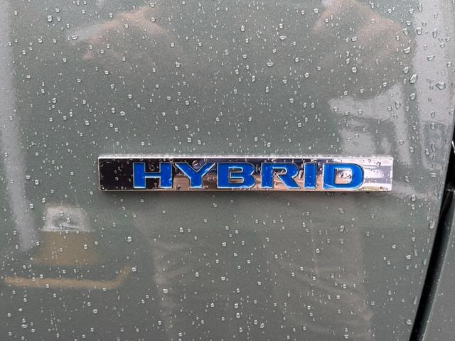 ｅＫスペース Ｇ　４ＷＤ・届出済未使用車・左側パワースライド・スマートキー・ＬＥＤヘッド・シートヒーター・バックモニター・オートエアコン・衝突被害軽減ブレーキ・サーキュレーター・シートバックテーブル（55枚目）