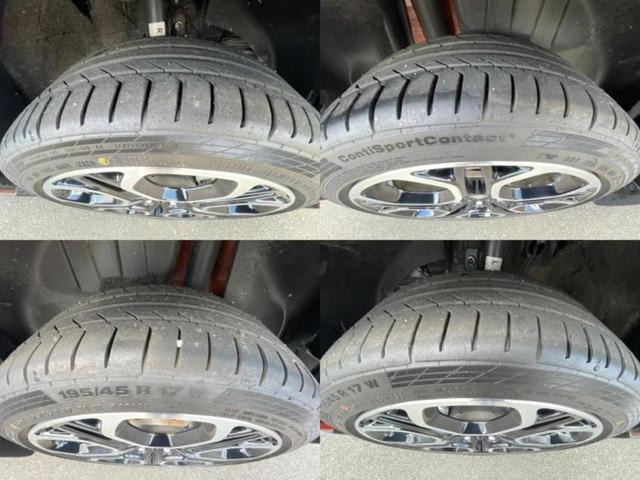 �u���̎Ԃ̎ʐ^�������ƌ������v�u��Ԃ��C�ɂȂ�v�u���̑����͂��Ă���H�v�ǂ�ȏ����ȋ^��ł����C�y�ɂ��₢���킹���������I