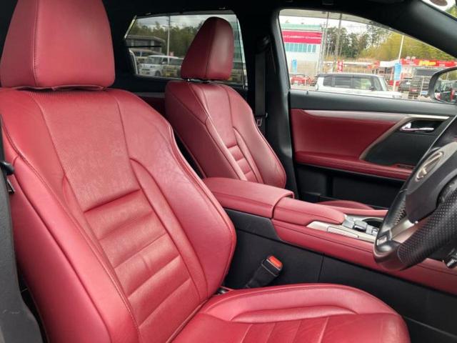 �u���̎Ԃ̎ʐ^�������ƌ������v�u��Ԃ��C�ɂȂ�v�u���̑����͂��Ă���H�v�ǂ�ȏ����ȋ^��ł����C�y�ɂ��₢���킹���������I