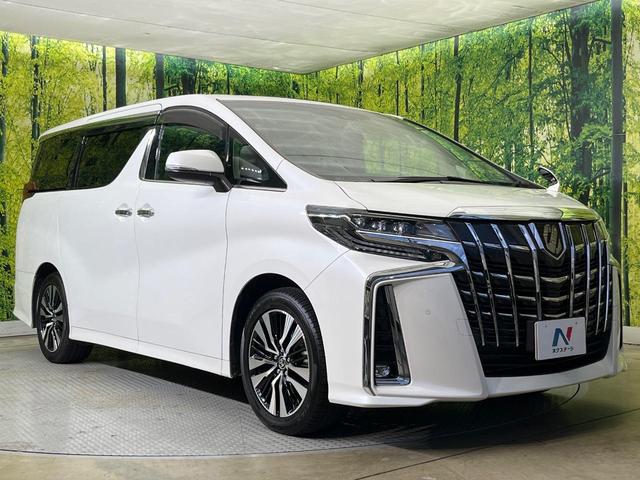 アルファード ２．５Ｓ　Ｃパッケージ　ツインムーンルーフ　禁煙車　両側電動ドア　バックカメラ　セーフティセンス　レーダークルーズ　電動リアゲート　ハーフレザーシート　ドラレコ　コーナーセンサー　スマートキー　ビルトインＥＴＣ（17枚目）