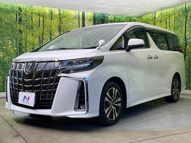 アルファード ２．５Ｓ　Ｃパッケージ　ツインムーンルーフ　禁煙車　両側電動ドア　バックカメラ　セーフティセンス　レーダークルーズ　電動リアゲート　ハーフレザーシート　ドラレコ　コーナーセンサー　スマートキー　ビルトインＥＴＣ（65枚目）