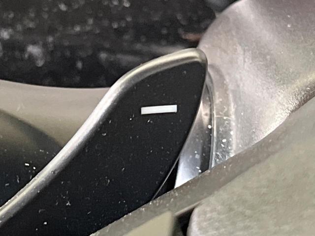 スペーシアカスタム ハイブリッドXSターボ 両側電動ドア 純正ナビ 全周囲カメラ セーフティサポート 禁煙車 ハーフレザーシート シートヒーター ドラレコ スマートキー LEDヘッド ETC クルコン オートハイビーム 車線逸脱警報(60枚目)