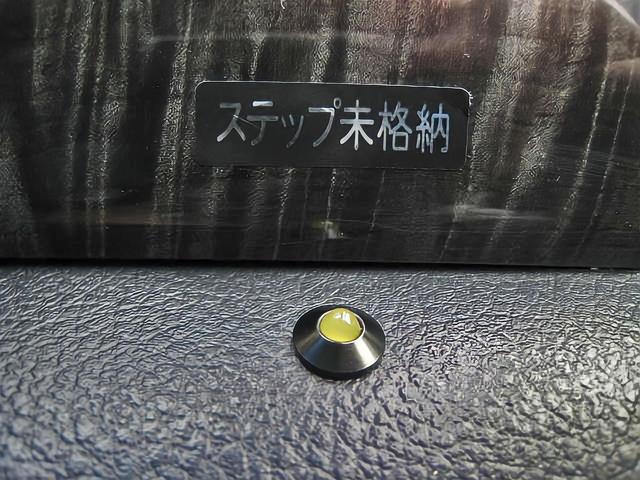 エルグランド ＶＩＰ　メーカーオプション全装着車　エマージェンシーブレーキ車線逸脱防止支援インテリジェントクルーズ踏み間違い衝突防止Ｗサンルーフ５．１ｃｈＢＯＳＥサウンド後席プライベートシアタ黒本革シートＬＥＤ電動ステップ（46枚目）