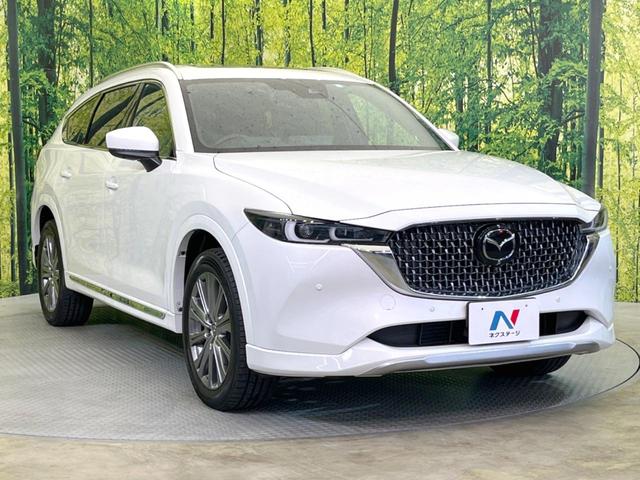 ＣＸ－８ ＸＤ　エクスクルーシブモード　サンルーフ　純正１０型ナビ　全周囲カメラ　ＢＯＳＥサウンド　衝突被害軽減システム　レーダークルーズ　禁煙車　電動リアゲート　レザーシート　前席シートエアコン　リアシートエアコン　前後席パワーシート（17枚目）