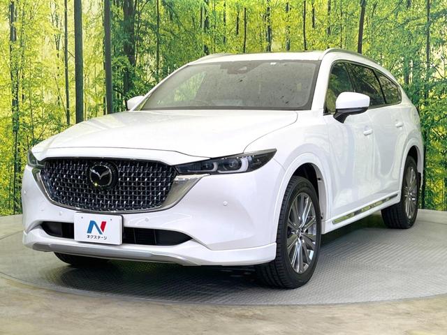 ＣＸ－８ ＸＤ　エクスクルーシブモード　サンルーフ　純正１０型ナビ　全周囲カメラ　ＢＯＳＥサウンド　衝突被害軽減システム　レーダークルーズ　禁煙車　電動リアゲート　レザーシート　前席シートエアコン　リアシートエアコン　前後席パワーシート（30枚目）