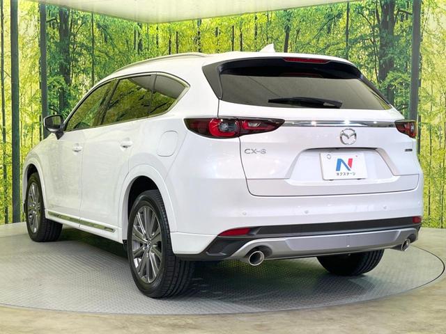 ＣＸ－８ ＸＤ　エクスクルーシブモード　サンルーフ　純正１０型ナビ　全周囲カメラ　ＢＯＳＥサウンド　衝突被害軽減システム　レーダークルーズ　禁煙車　電動リアゲート　レザーシート　前席シートエアコン　リアシートエアコン　前後席パワーシート（32枚目）