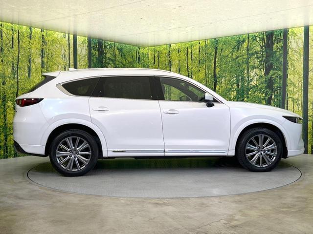 ＣＸ－８ ＸＤ　エクスクルーシブモード　サンルーフ　純正１０型ナビ　全周囲カメラ　ＢＯＳＥサウンド　衝突被害軽減システム　レーダークルーズ　禁煙車　電動リアゲート　レザーシート　前席シートエアコン　リアシートエアコン　前後席パワーシート（33枚目）