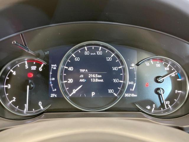 ＣＸ－８ ＸＤ　エクスクルーシブモード　サンルーフ　純正１０型ナビ　全周囲カメラ　ＢＯＳＥサウンド　衝突被害軽減システム　レーダークルーズ　禁煙車　電動リアゲート　レザーシート　前席シートエアコン　リアシートエアコン　前後席パワーシート（75枚目）