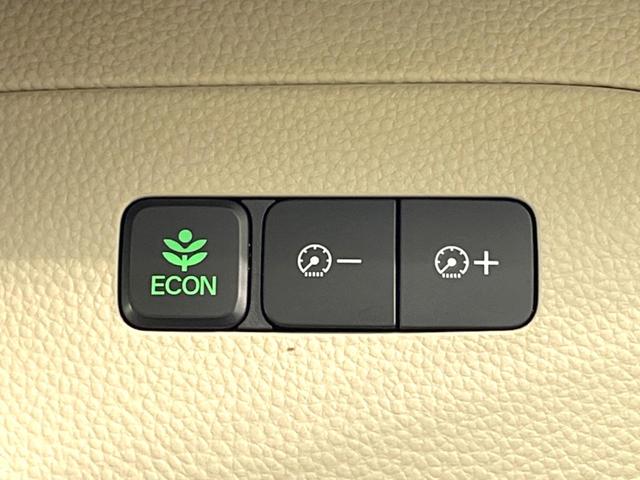 N-BOX G・Lホンダセンシング 電動スライドドア 純正SDナビ バックカメラ 衝突被害軽減システム レーダークルーズ コーナーセンサー スマートキー LEDヘッド 車線逸脱警報 オートライト オートエアコン Bluetooth(55枚目)