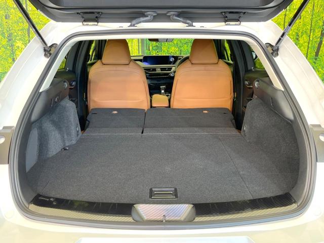 UX UX250h バージョンC 純正10型ナビ 全周囲カメラ 衝突軽減 レーダークルーズ 禁煙車 ドラレコ コーナーセンサー スマートキー 三眼LED ETC2.0 オートハイビーム 車線逸脱警報 オートライト デュアルエアコン(10枚目)