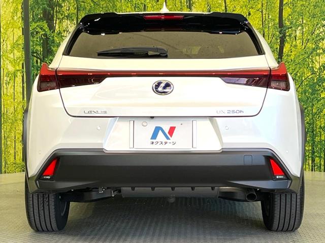 UX UX250h バージョンC 純正10型ナビ 全周囲カメラ 衝突軽減 レーダークルーズ 禁煙車 ドラレコ コーナーセンサー スマートキー 三眼LED ETC2.0 オートハイビーム 車線逸脱警報 オートライト デュアルエアコン(15枚目)