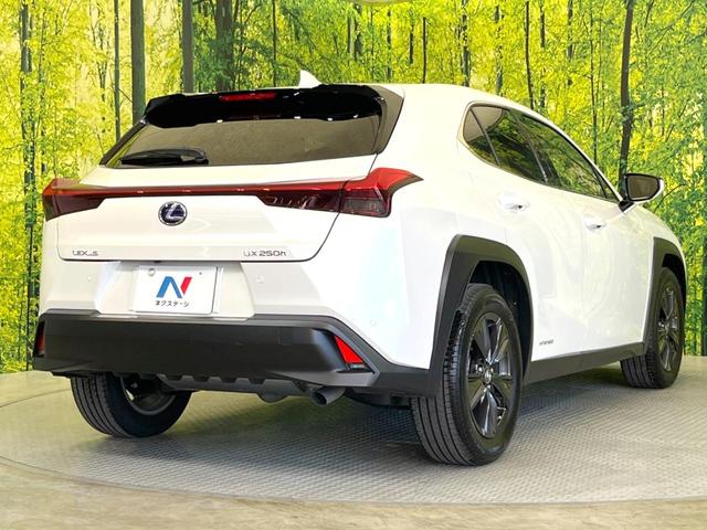 UX UX250h バージョンC 純正10型ナビ 全周囲カメラ 衝突軽減 レーダークルーズ 禁煙車 ドラレコ コーナーセンサー スマートキー 三眼LED ETC2.0 オートハイビーム 車線逸脱警報 オートライト デュアルエアコン(17枚目)
