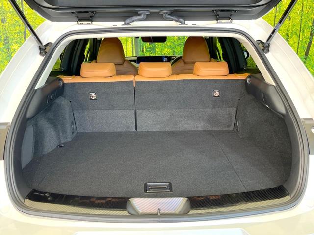 UX UX250h バージョンC 純正10型ナビ 全周囲カメラ 衝突軽減 レーダークルーズ 禁煙車 ドラレコ コーナーセンサー スマートキー 三眼LED ETC2.0 オートハイビーム 車線逸脱警報 オートライト デュアルエアコン(27枚目)