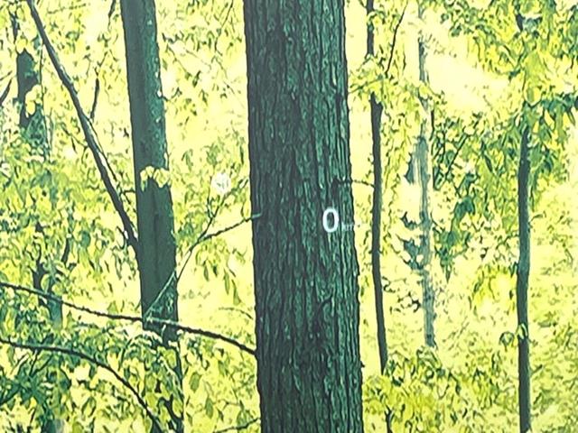 CX-5 XD ブラックトーンエディション 純正10型ナビ 全周囲カメラ 衝突被害軽減システム レーダークルーズ 禁煙車 電動リアゲート ハーフレザーシート パワーシート ドラレコ コーナーセンサー スマートキー LEDヘッド ETC(21枚目)