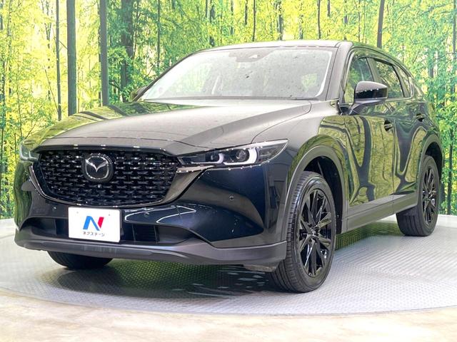 CX-5 XD ブラックトーンエディション 純正10型ナビ 全周囲カメラ 衝突被害軽減システム レーダークルーズ 禁煙車 電動リアゲート ハーフレザーシート パワーシート ドラレコ コーナーセンサー スマートキー LEDヘッド ETC(37枚目)