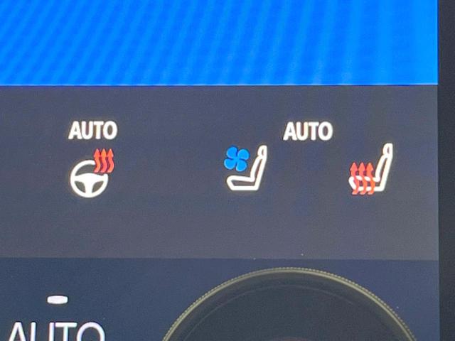 アルファードハイブリッド Ｚ　サンルーフ　両側電動ドア　後席モニター　全周囲カメラ　１００Ｖ電源　レーダークルーズ　禁煙車　電動リアゲート　レザーシート　全席シートヒーター　全席シートエアコン　全席パワーシート　ＬＥＤヘッド（59枚目）