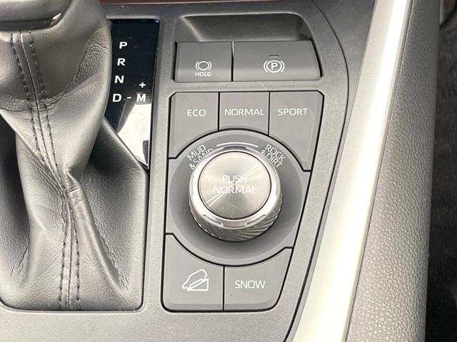 RAV4 G Zパッケージ 4WD 全周囲カメラ 衝突被害軽減システム レーダークルーズ 禁煙車 電動リアゲート パワーシート ドラレコ コーナーセンサー スマートキー LEDヘッド ルーフレール ビルトインETC(42枚目)