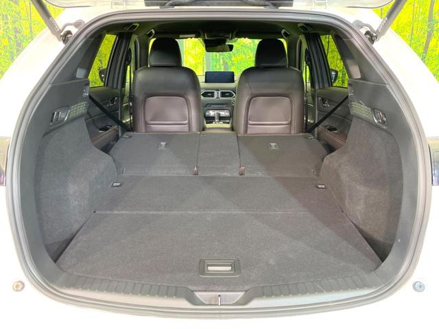 ��Ȃ��i�[����ƁA���ꂾ���̍L�����I�V�[���ɍ��킹���V�[�g�A�����W�ŁA�傫�ȉו����ςނ��Ƃ��o���܂���