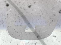 ڥƥ֥졼ƥ֥ƥ®μξǧͤʻϷȥ֥졼ǾͲﳲڸ򥢥ȡ˥ɥ饤֤򤪳ڤߤޤ 7