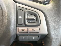 ������®�ɽ���ǽ�ե��롼������ȥ�����۹�®ƻϩ�Ǥ�Ĺ��Υ���Ԥ��ڤˡ�����ư��®�٤��ݤĥ��롼������ȥ����뤬�����ͷڸ������ƥ��Ϣ�Ȥ��������μ�ξ���Τ��Ƽִ֤��ݤĤ褦��®��Ĵ�ᤷ�Ƥ���ޤ����� 4