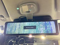 �ڥ���ƥꥸ����ȥ롼��ߥ顼�۸��ʤ��礭�ʲ�ʪ��Ʊ��ԤǸ�������ǧ���Ť餤���Ǥ�¿�������餬���Ƥ�����ξ�����α�����롼��ߥ顼���ɽ�������ꥢ�ʻ볦�Ǿ����γ�ǧ����ǽ�Ǥ��� 7