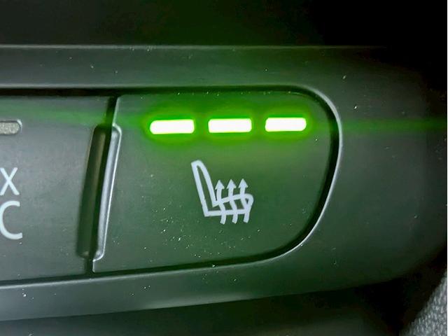 MINI クーパー コンバーチブル 純正HDDナビ バクカメラ シートヒーター アダプティブクルーズコントロール 前後コーナーセンサー ETC 衝突軽減 オートライト レインセンサー コンフォートアクセス ドライビングモード(53枚目)