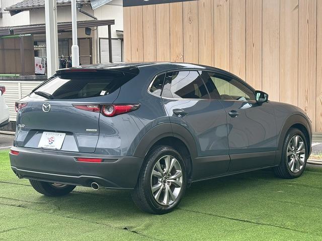 ＣＸ－３０ ２０Ｓ　Ｌパッケージ　ワンオーナー　禁煙　シートメモリ　フルセグ　全周囲カメラ　電動リアゲート　シートヒーター　ステアリングヒーター　ブラインドスポットモニター　軽減ブレーキ　ヘッドアップディスプレイ　コーナーセンサー（33枚目）