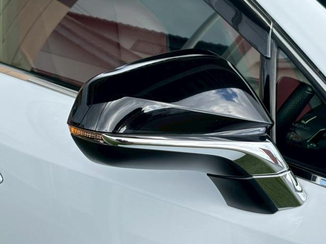 NX NX300h Fスポーツ 1オーナー 三眼LEDヘッドライト 赤革シート シートクーラー 衝突軽減ブレーキ レーダークルーズコントロール クリアランスソナー ヘッドアップディスプレイ 電動シート 電動リアゲート シートメモリー(41枚目)