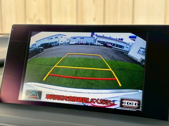 NX NX300h Fスポーツ 1オーナー 三眼LEDヘッドライト 赤革シート シートクーラー 衝突軽減ブレーキ レーダークルーズコントロール クリアランスソナー ヘッドアップディスプレイ 電動シート 電動リアゲート シートメモリー(45枚目)