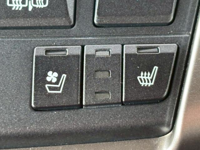 NX NX300h Fスポーツ 1オーナー 三眼LEDヘッドライト 赤革シート シートクーラー 衝突軽減ブレーキ レーダークルーズコントロール クリアランスソナー ヘッドアップディスプレイ 電動シート 電動リアゲート シートメモリー(63枚目)