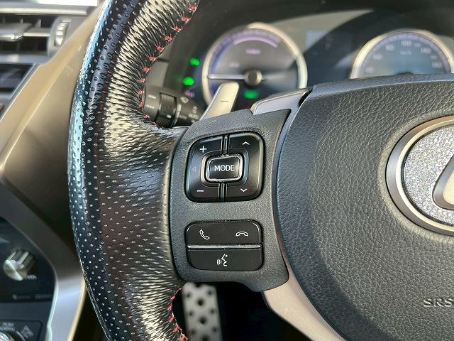 NX NX300h Fスポーツ 禁煙 サンルーフ 三眼LEDヘッドライト 赤革シート シートクーラー 衝突軽減 レーダークルーズコントロール クリアランスソナー 電動リアゲート メモリー機能付パワーシート ステアリングヒーター(55枚目)