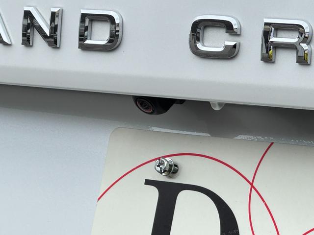 ランドクルーザー ZX モデリスタエアロ リアエンターテイメントシステム リアデフロック クールボックス マルチテレインモニター 空気圧センサー 寒冷地仕様 サンルーフ ルーフレール パノラミックビューモニター HUD(19枚目)