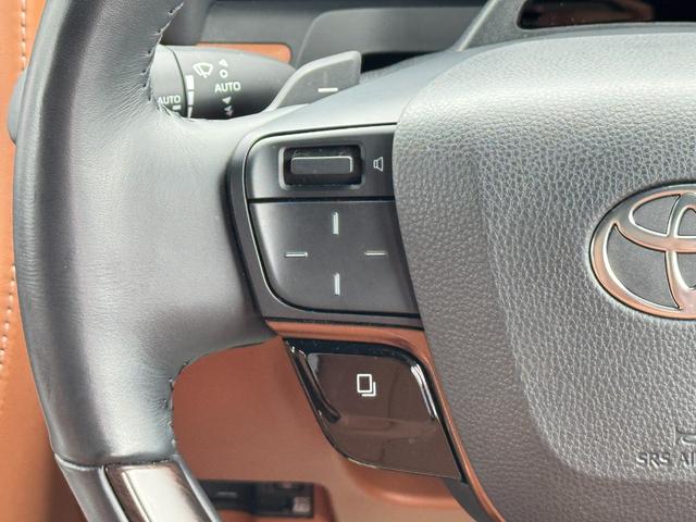 ヴェルファイアハイブリッド Ｚ　プレミア　１３．２型有機ＥＬ後席モニター　ユニバーサルステップ　左右独立ムーンルーフ　トヨタチームメイト　アドバンストパーク　パノラミックビューモニター　ブラインドスポットモニター　デジタルインナーミラー（47枚目）