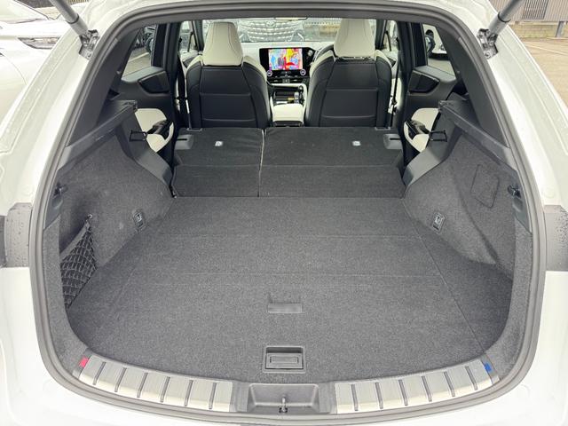 ＮＸ ＮＸ３５０ｈ　Ｆスポーツ　パノラマルーフ　オレンジキャリパー　デジタルインナーミラー　ヘッドアップディスプレイ　ルーフレール　パノラミックビューモニター　ブラインドスポットモニター　後席シートヒーター　純正ドライブレコーダー（73枚目）