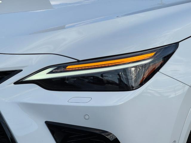 ＮＸ ＮＸ３５０ｈ　Ｆスポーツ　ＴＲＤエアロ　パノラマルーフ　オレンジキャリパー　１４インチＤＡナビ　アドバンストパーク　ヘーゼルレザーシート　パノラミックビューモニター　ブラインドスポットモニター　寒冷地　ヘッドアップディスプレイ（12枚目）