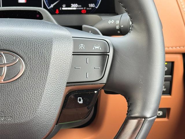 ヴェルファイアハイブリッド Z プレミア 13.2型後席モニター 寒冷地仕様 左右独立ムーンルーフ ヘッドアップディスプレイ デジタルインナーミラー 左右独立ムーンルーフ パノラミックビューモニタ ブラインドスポットモニター インテリアイルミ(53枚目)