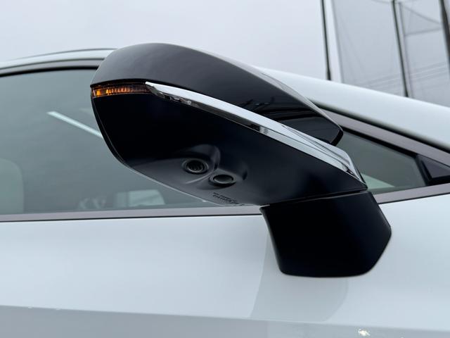 ＮＸ ＮＸ３５０ｈ　Ｆスポーツ　パノラマルーフ　オレンジキャリパー　デジタルインナーミラー　ヘッドアップディスプレイ　ルーフレール　パノラミックビューモニター　ブラインドスポットモニター　後席シートヒーター　純正ドライブレコーダー（25枚目）