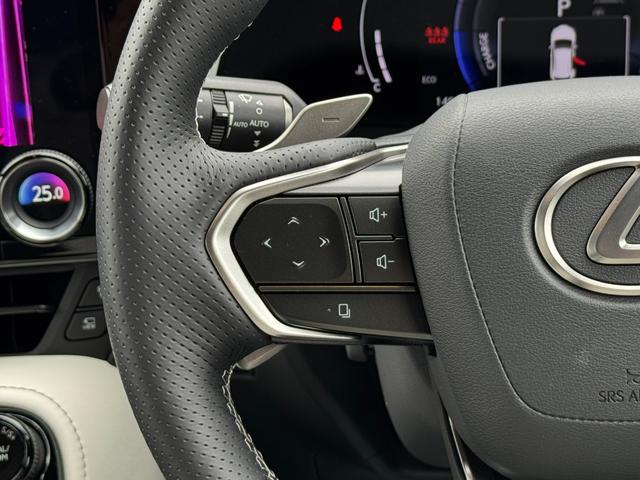 ＮＸ ＮＸ３５０ｈ　Ｆスポーツ　パノラマルーフ　オレンジキャリパー　デジタルインナーミラー　ヘッドアップディスプレイ　ルーフレール　パノラミックビューモニター　ブラインドスポットモニター　後席シートヒーター　純正ドライブレコーダー（56枚目）