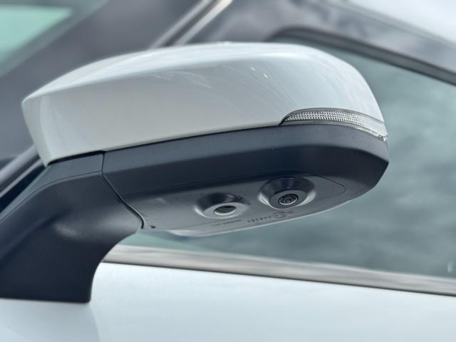 ヴェルファイアハイブリッド Ｚ　プレミア　１３．２型有機ＥＬ後席モニター　ユニバーサルステップ　左右独立ムーンルーフ　トヨタチームメイト　アドバンストパーク　パノラミックビューモニター　ブラインドスポットモニター　デジタルインナーミラー（20枚目）