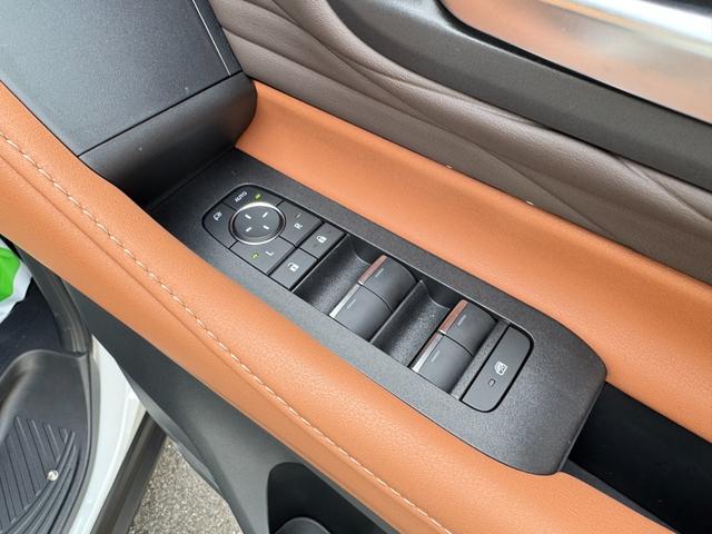 ヴェルファイアハイブリッド Ｚ　プレミア　１３．２型有機ＥＬ後席モニター　ユニバーサルステップ　左右独立ムーンルーフ　トヨタチームメイト　アドバンストパーク　パノラミックビューモニター　ブラインドスポットモニター　デジタルインナーミラー（29枚目）