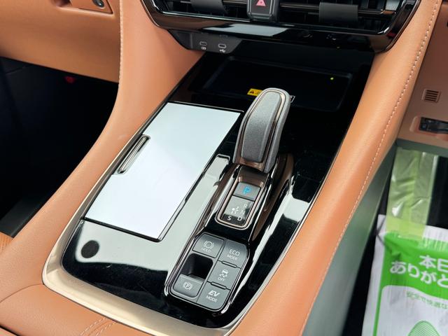ヴェルファイアハイブリッド Ｚ　プレミア　１３．２型有機ＥＬ後席モニター　ユニバーサルステップ　左右独立ムーンルーフ　トヨタチームメイト　アドバンストパーク　パノラミックビューモニター　ブラインドスポットモニター　デジタルインナーミラー（38枚目）